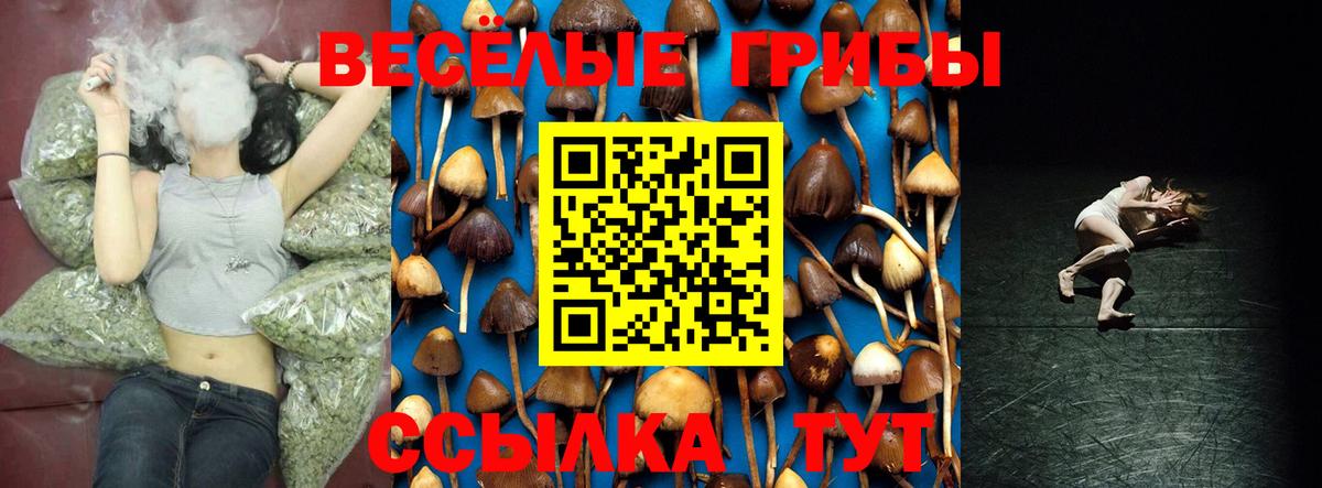 Галлюциногенные грибы MAGIC MUSHROOMS  Псилоцибиновые грибы прущие грибы  Черняховск  Вход с VPN 